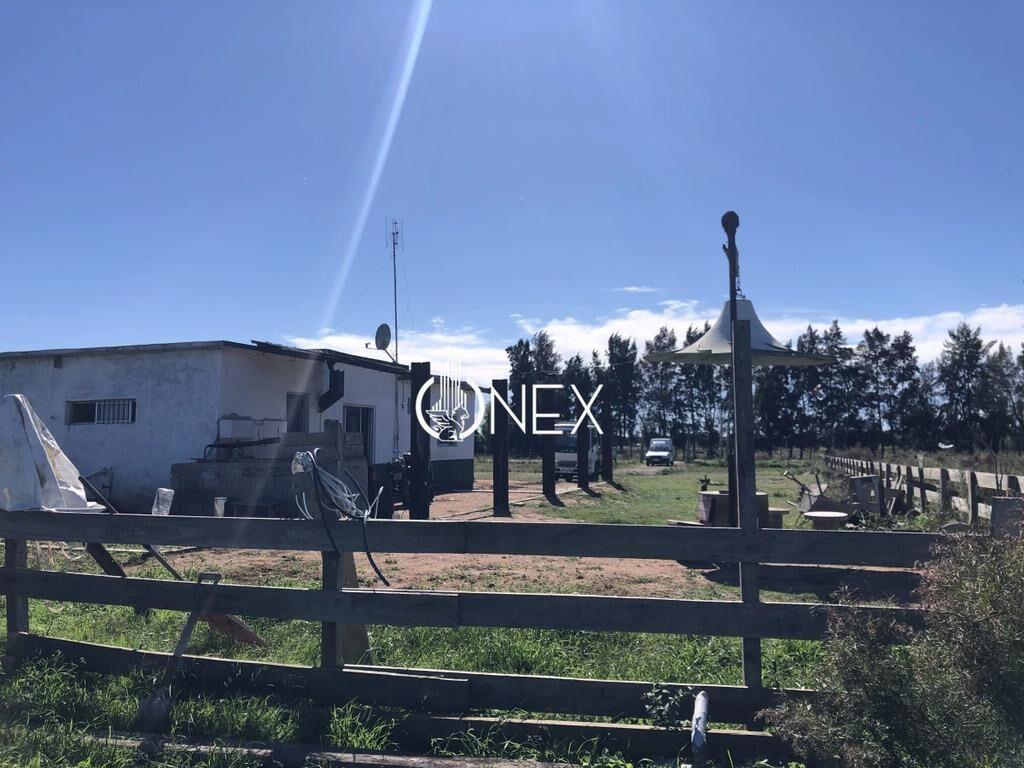 Se vende Chacra de 4ha más casa, sobre ruta