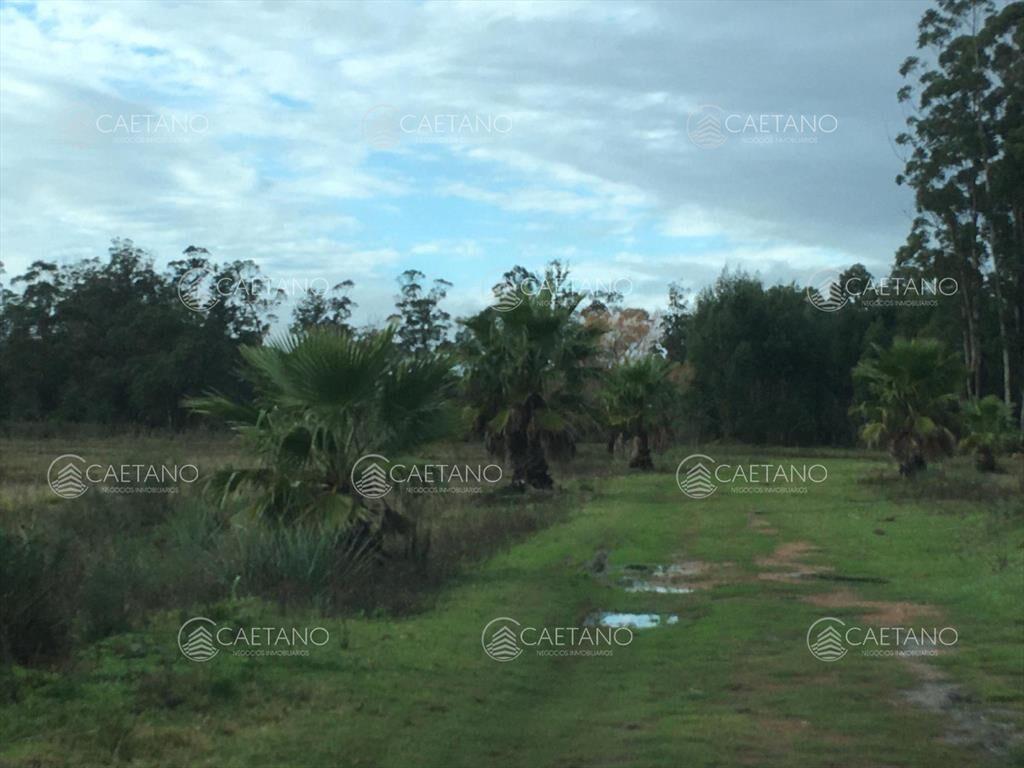 Chacra en La Pataia - Punta Ballena