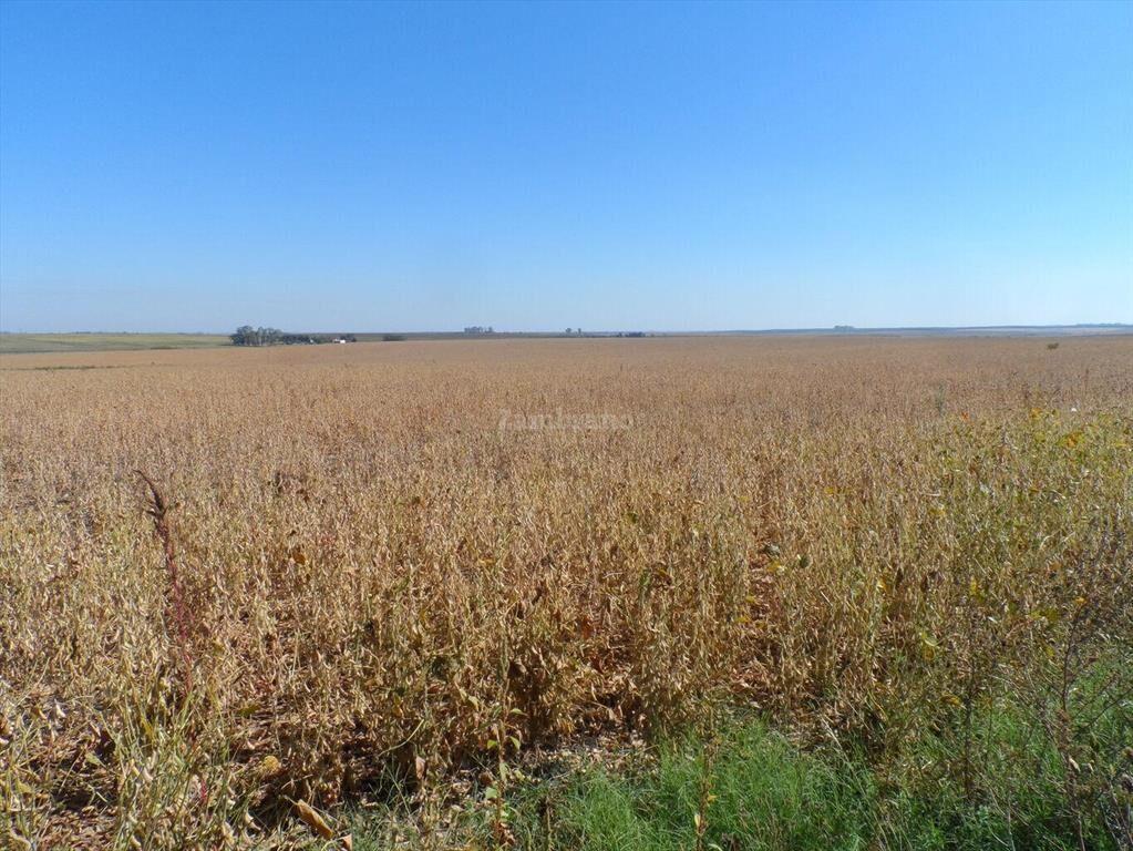 Estancia Agricola Ganadera 1600 ha en Paysandú