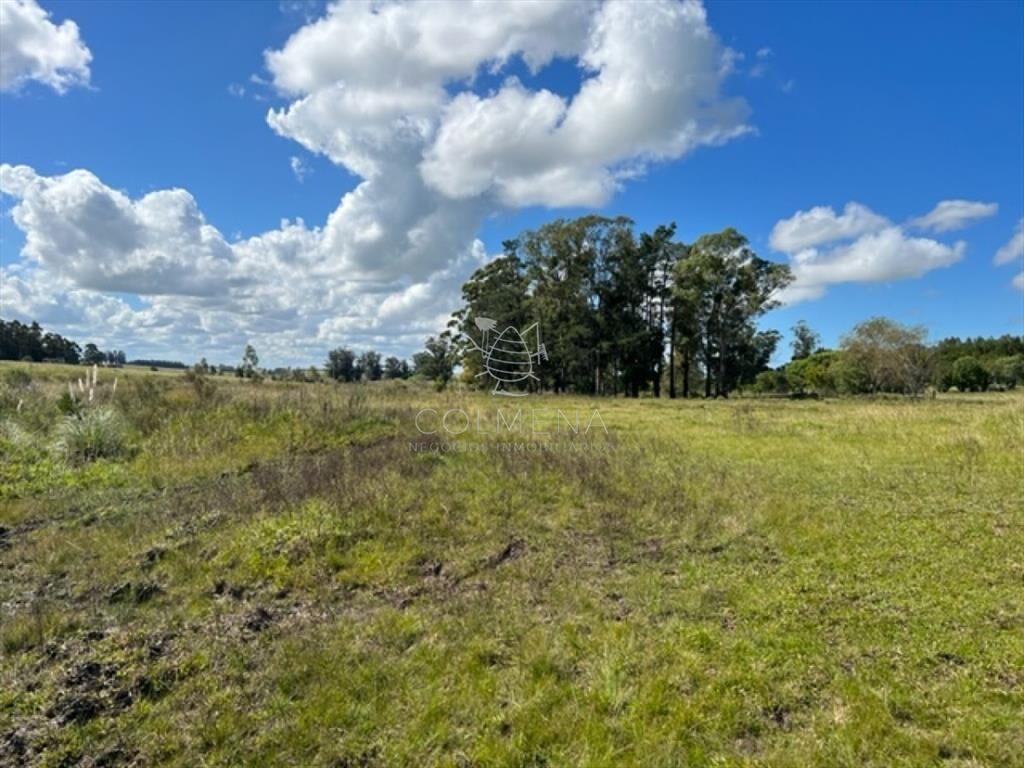 Campo 5 has con 2473 m2 sobre ruta 9