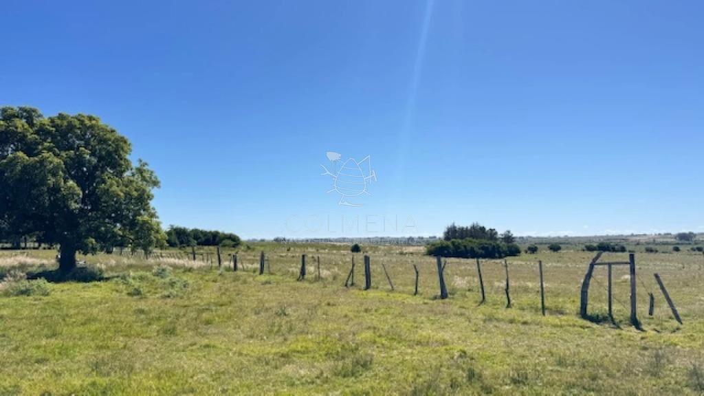 Se venden 2 chacras a 15 km de San Carlos