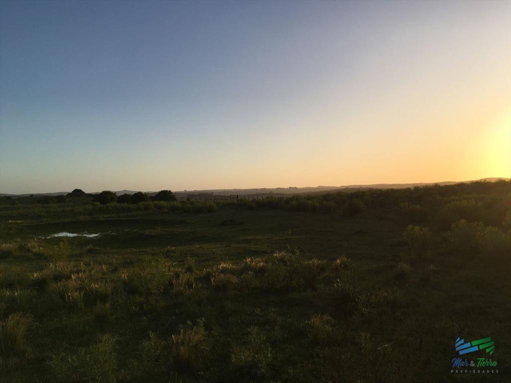 Lindo campo ganadero de 78 Has muy bien ubicado,