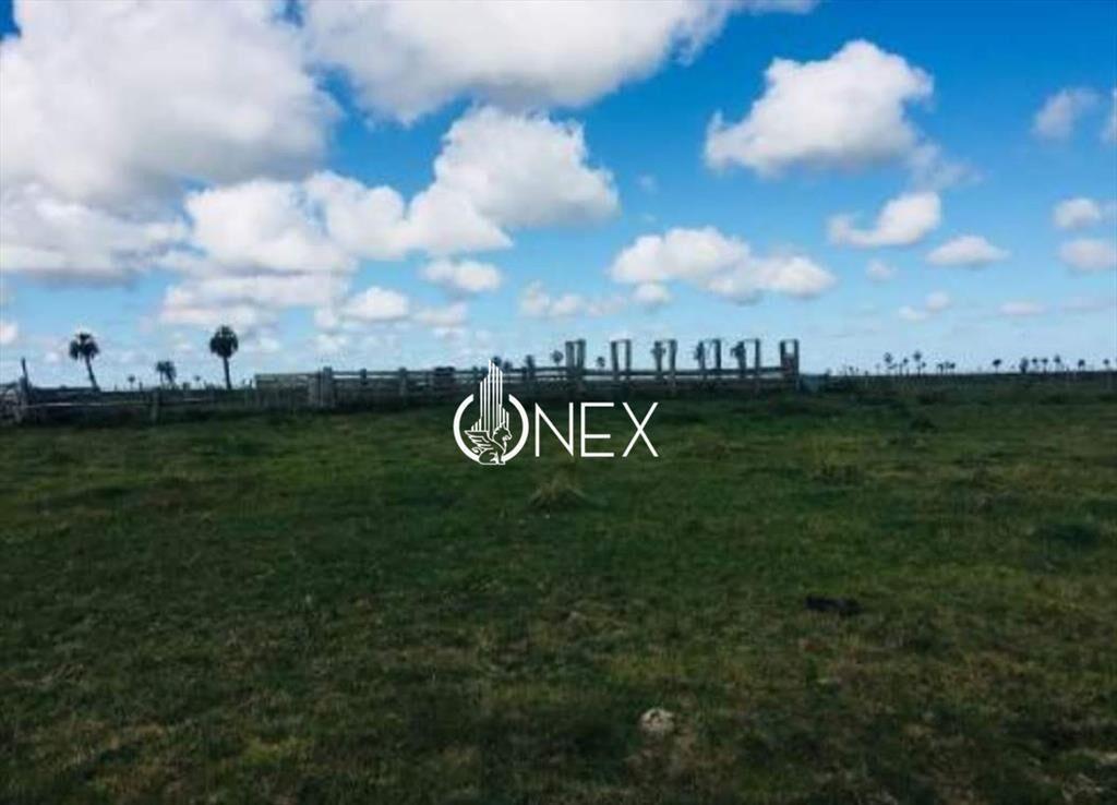 Oportunidad Venta de Campo agricola ganadero 576