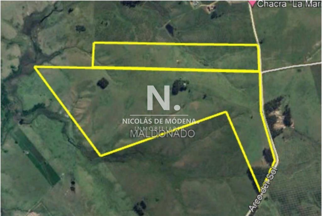 Vende excelente campo en  Jose Ignacio, ideal fin