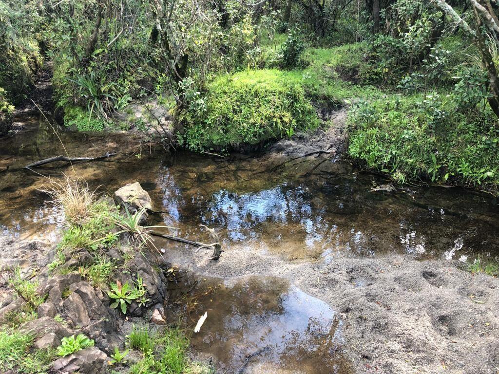 CHACRA EN VENTA