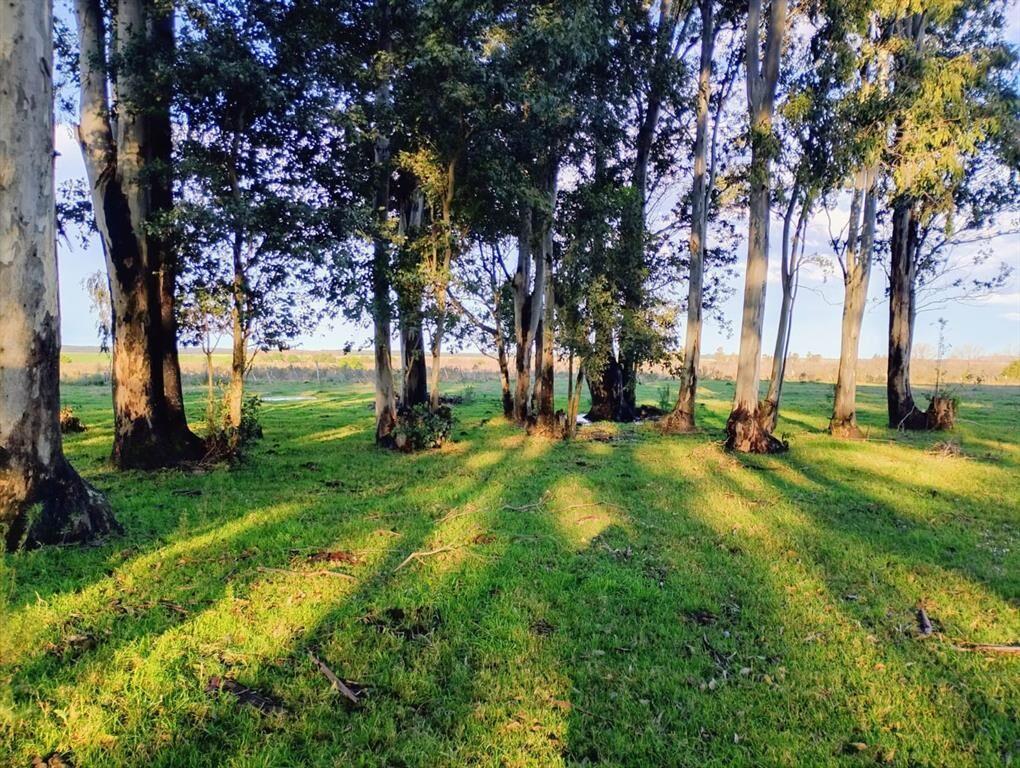 VENTA DE CHACRA 8 HAS. EN PAYSANDU