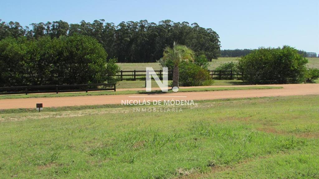 Terreno en venta en Las Garzas.