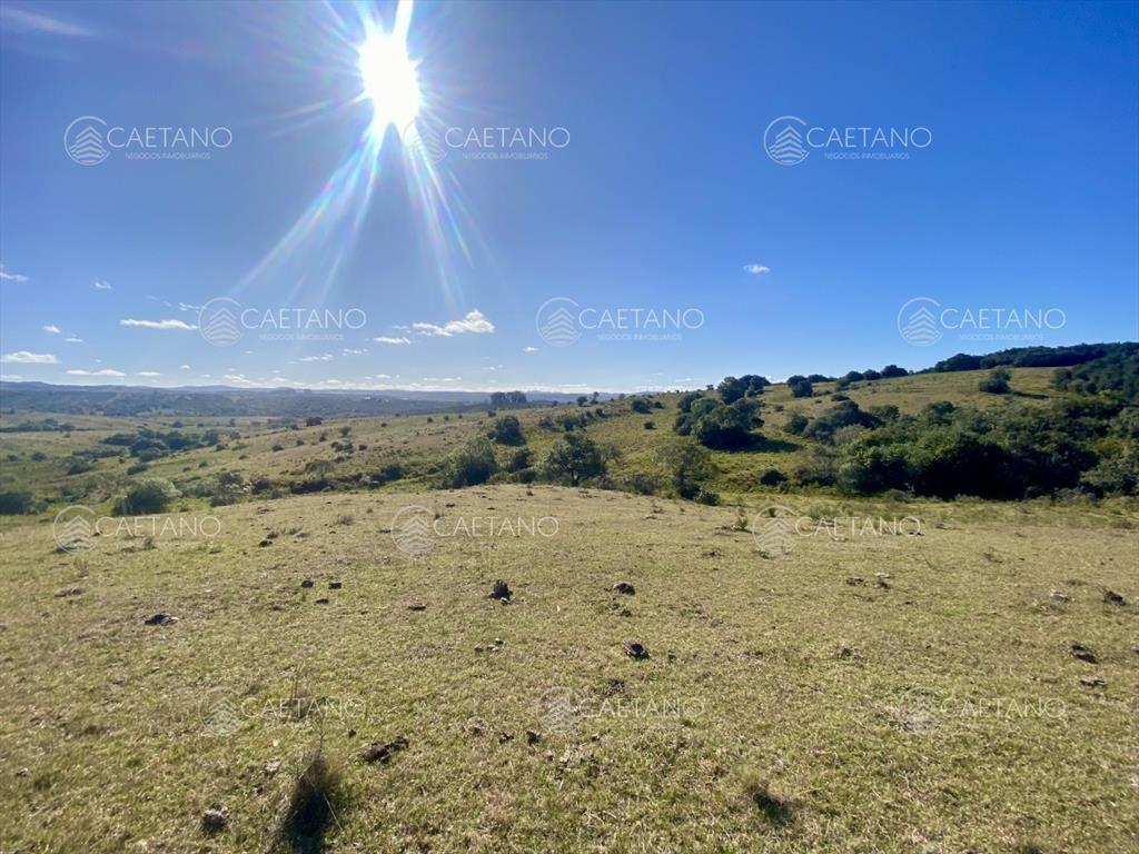 Venta chacra 5 hectáreas. Camino del Olivo,