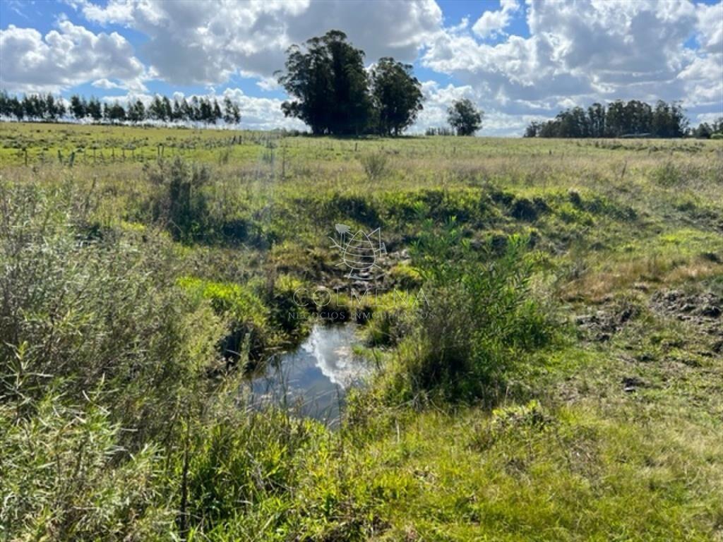Campo 5 has con 2473 m2 sobre ruta 9