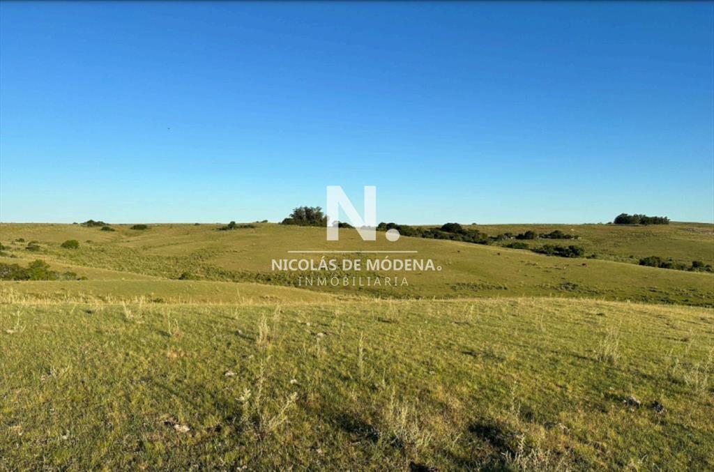 Vende campo de 42 has, en Maldonado Garzon.