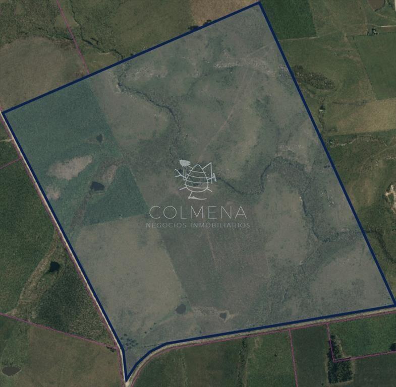 Campo en Florida agrícola-ganadero