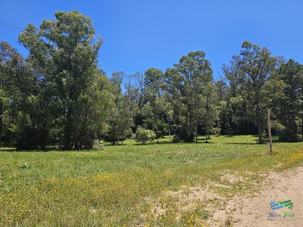 En venta chacra de 1 hectarea en Laguna del Punta