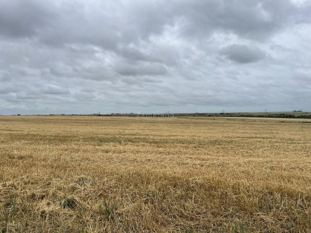 Estancia Agrícola Ganadera en Flores