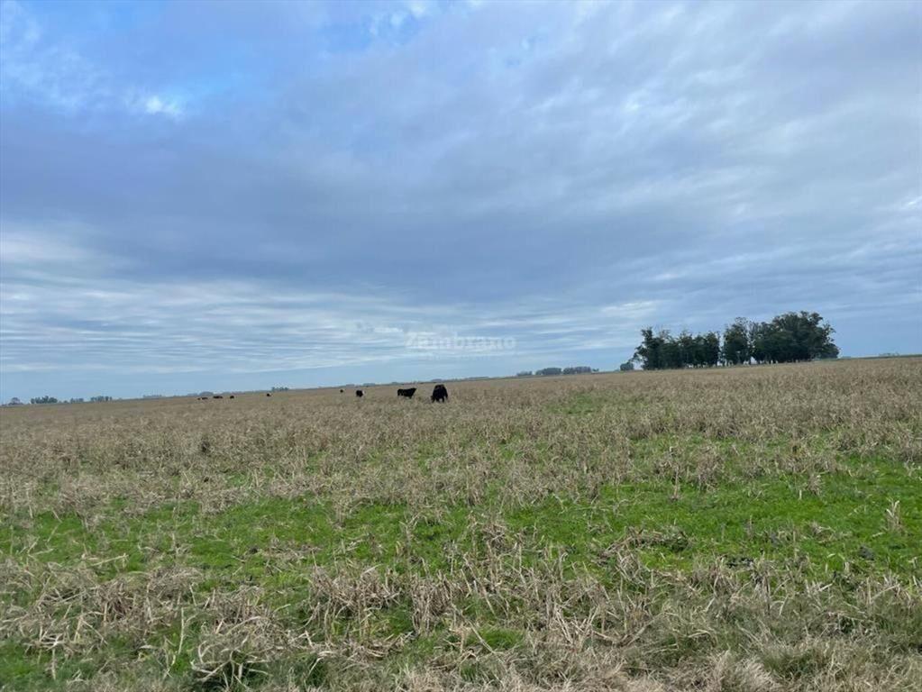 Estancia Ganadera Agrícola en Lavalleja