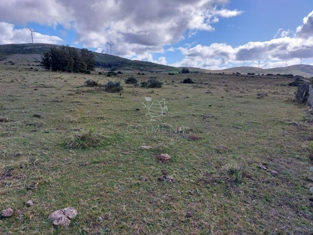 Campo 80 has a 35 km de Punta del Este