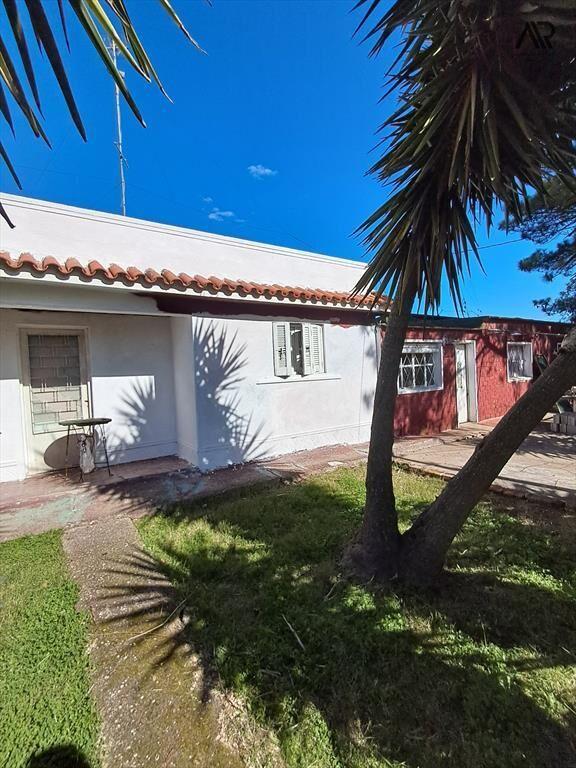 Chacra en venta de 45000m2 ubicado en Canelon Chico