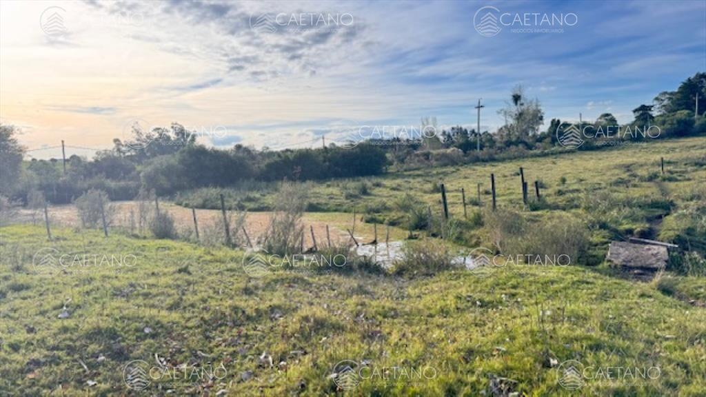 Campo de 4 has 1602 m2 muy cerca de ruta 12 y la