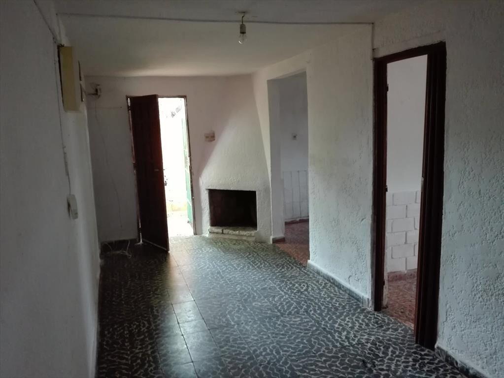 Casa y dos apartamentos con muy buen terreno.