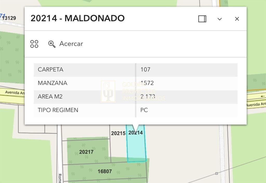 Terreno en venta Puta Ballena