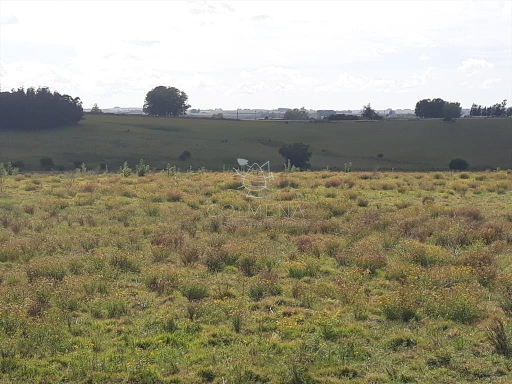 Campo 18 has en las Cañas - Consulte!!!!!!