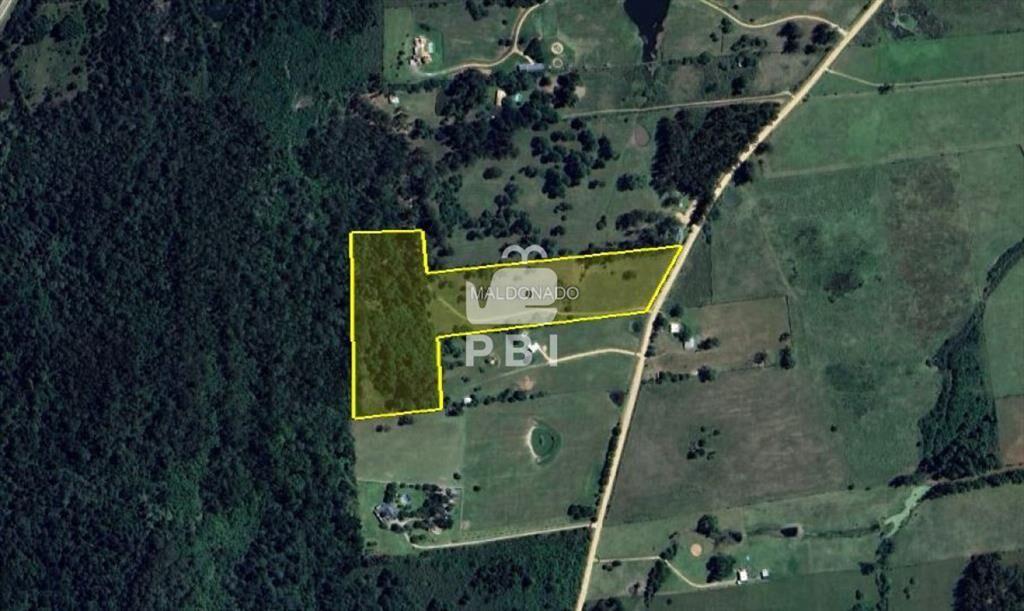 Chacra en venta en Laguna del Sauce, Punta  - Ref