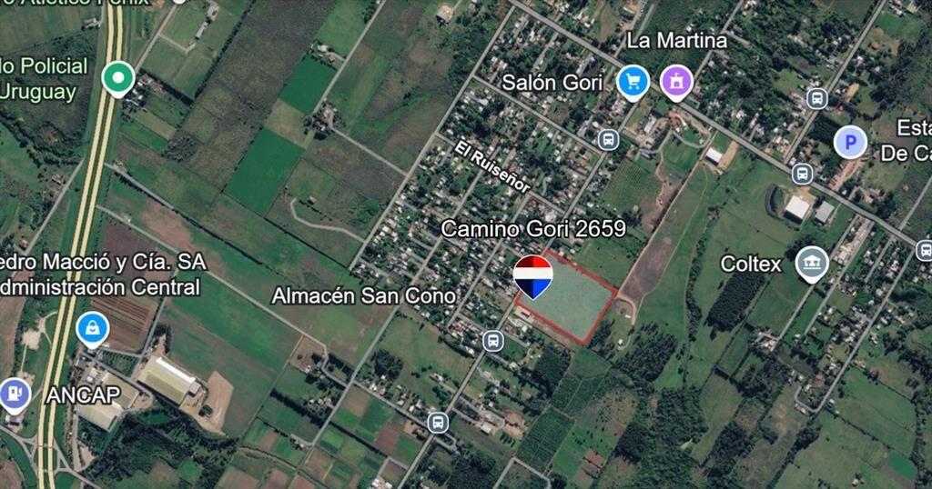 Venta Chacra Camino Gori 36400 metros