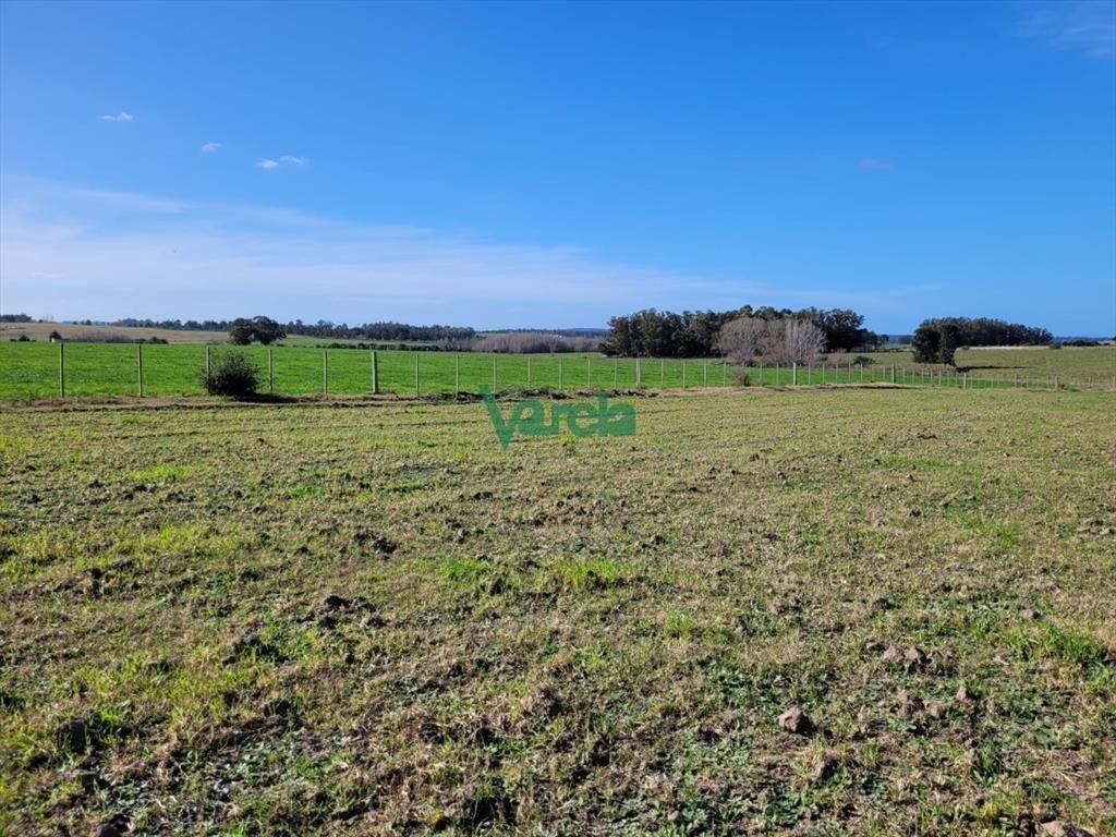 Venta de chacra en Atlantida