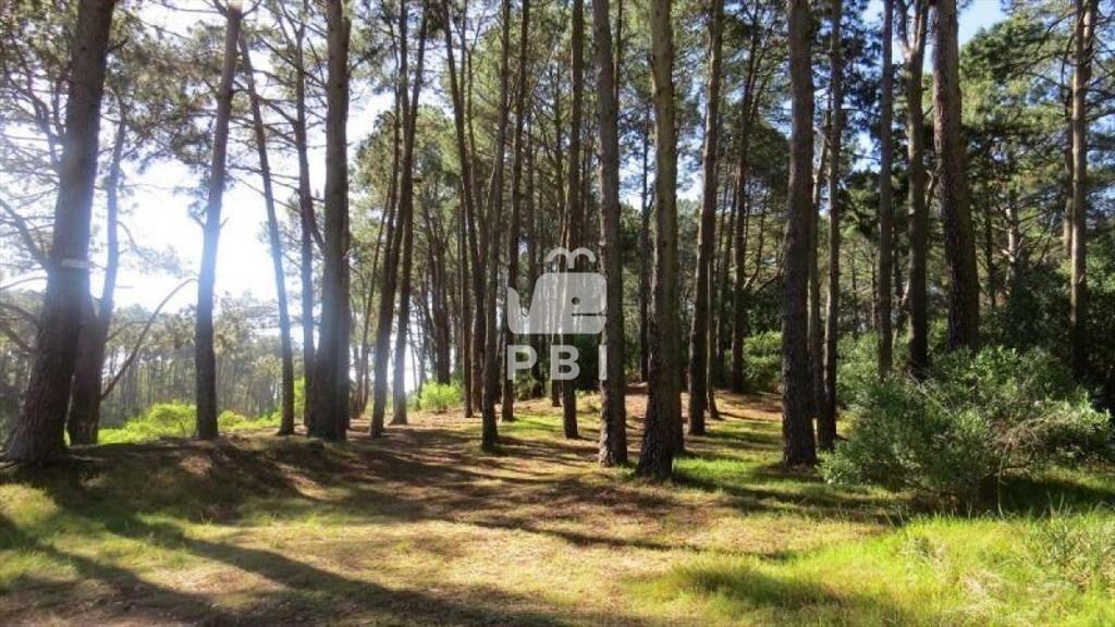Terreno en venta Chihuahua  - Ref : PBI919