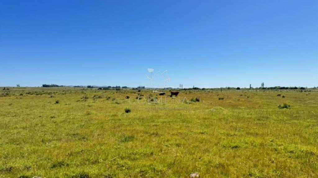 Se venden 2 chacras juntas o separadas en Paso de