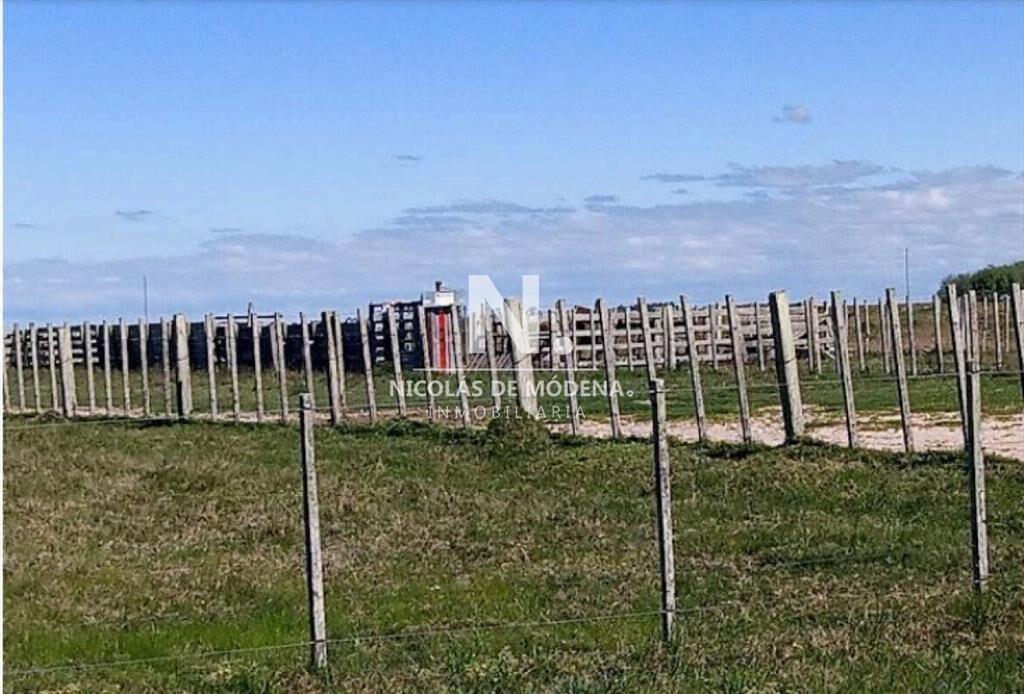 Vende Campo de 2 padrones en Treinta y tres.