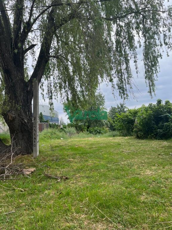 Venta terreno, Malvín Norte, 789 m2, ideal