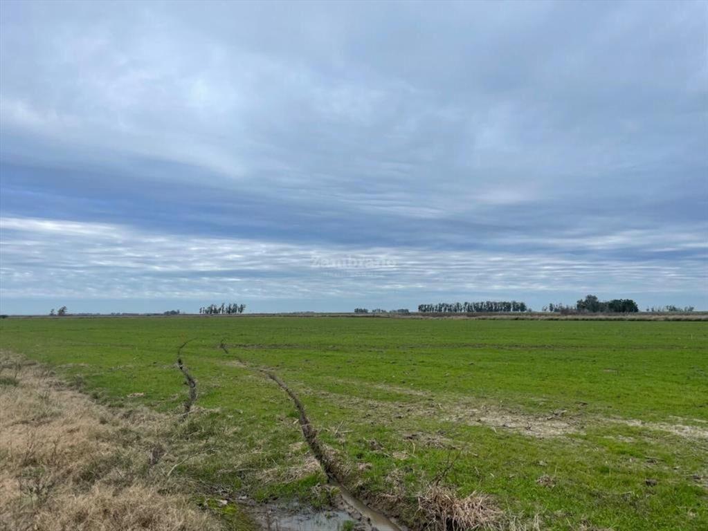 Estancia Ganadera Agrícola en Lavalleja