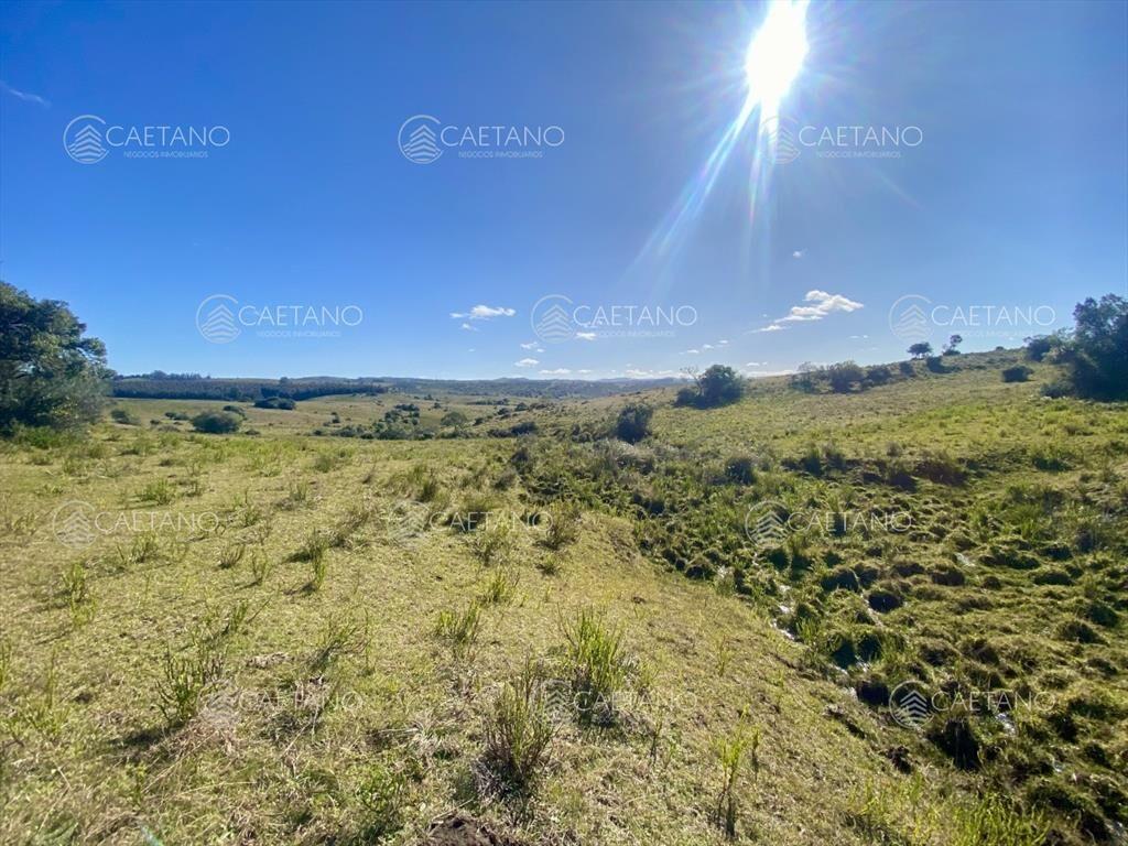 Venta chacra 5 hectáreas. Camino del Olivo,