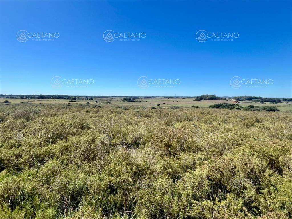 CHACRA EN VENTA LA PATAIA 10 HECTAREAS