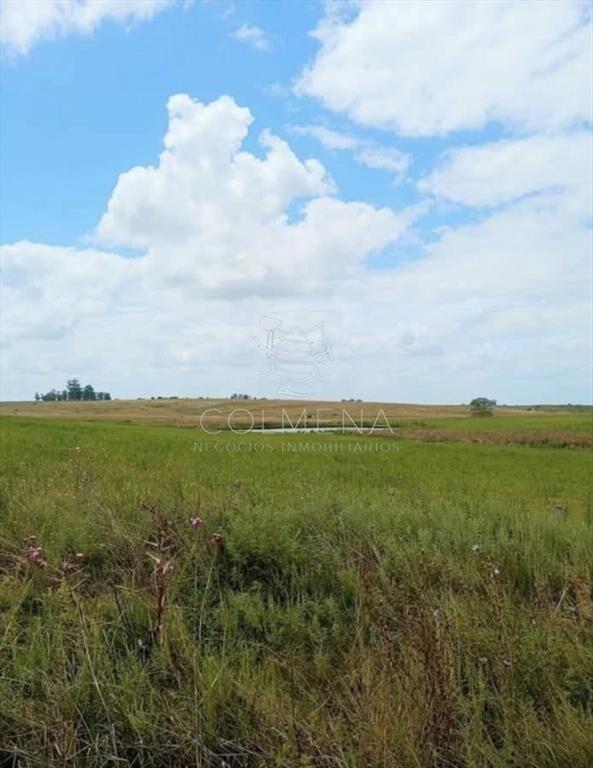 Campo en Florida agrícola-ganadero
