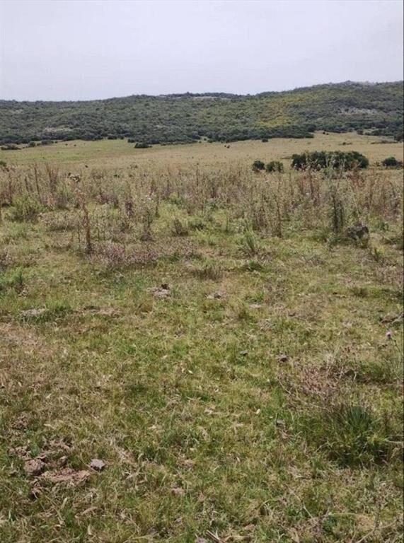 Terreno sobre Ruta 8 con Agua Natural y Proyecto Turístic