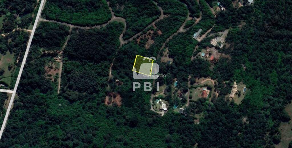Venta de Lote en Las Cumbres , Punta Ballena - Ref : PBI207