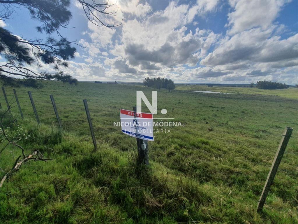 Campo de 63 hectáreas en Venta - Producción y