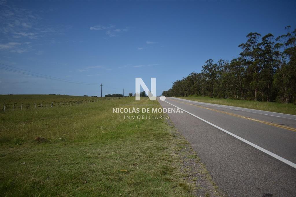 Campo Ruta 9  SAN CARLOS
