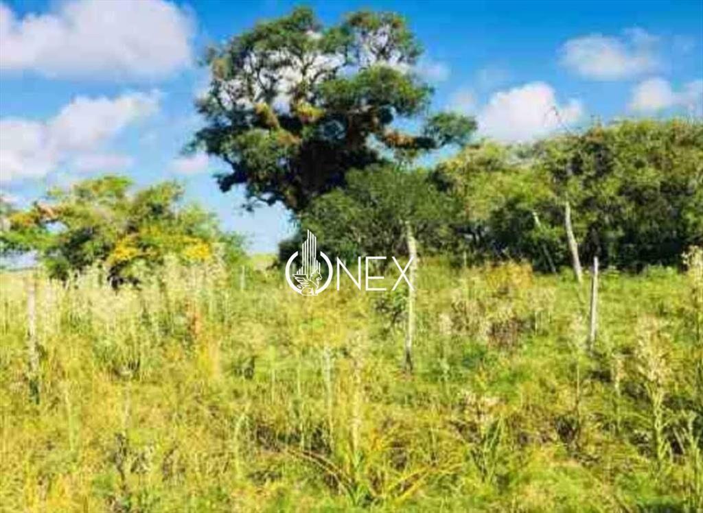 Oportunidad Venta de Campo agricola ganadero 576
