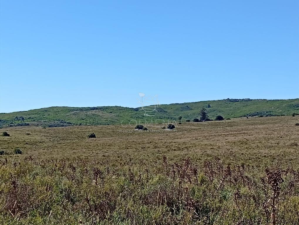 Campo 185 has - Paraje Paso de Dutra