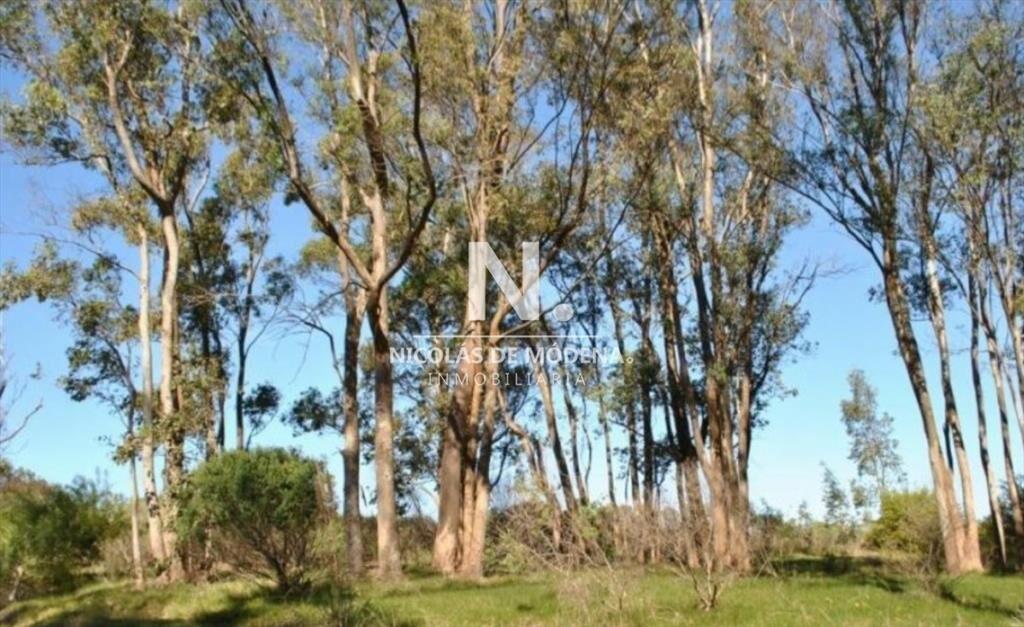 Terreno en venta en Barraverde, apto para bloque
