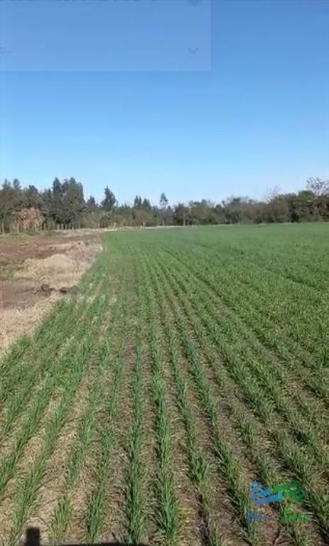 Excelente ubicación, Campo Mixto a poca de todo