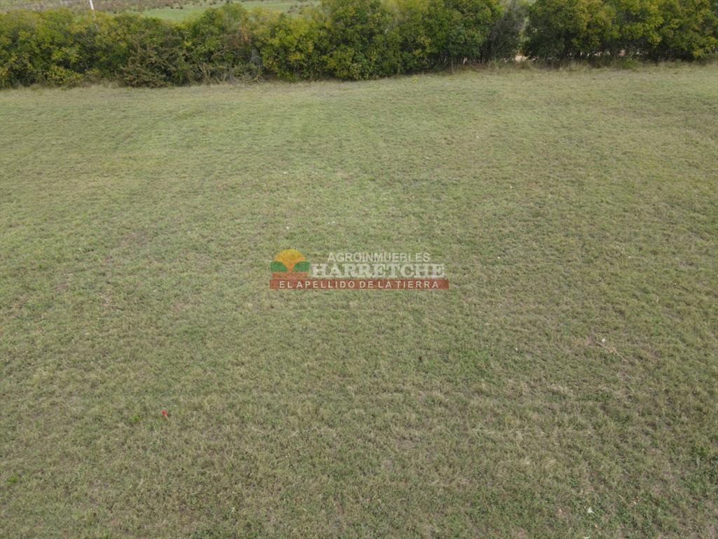 Terreno en Progreso, 360 m2 en Jardín de los (4)