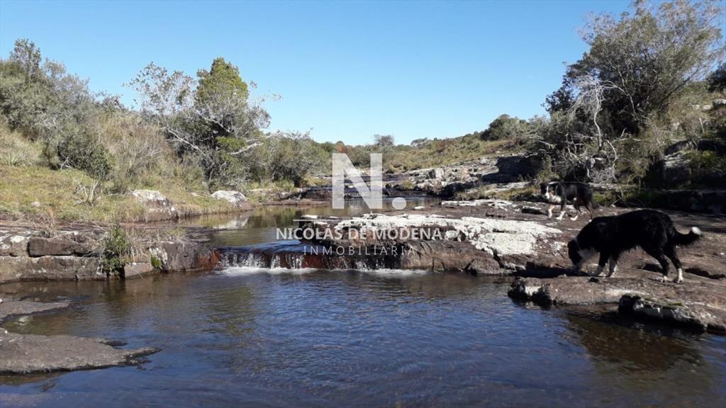 Campo en Aigua , Maldonado, 62 Hectáreas