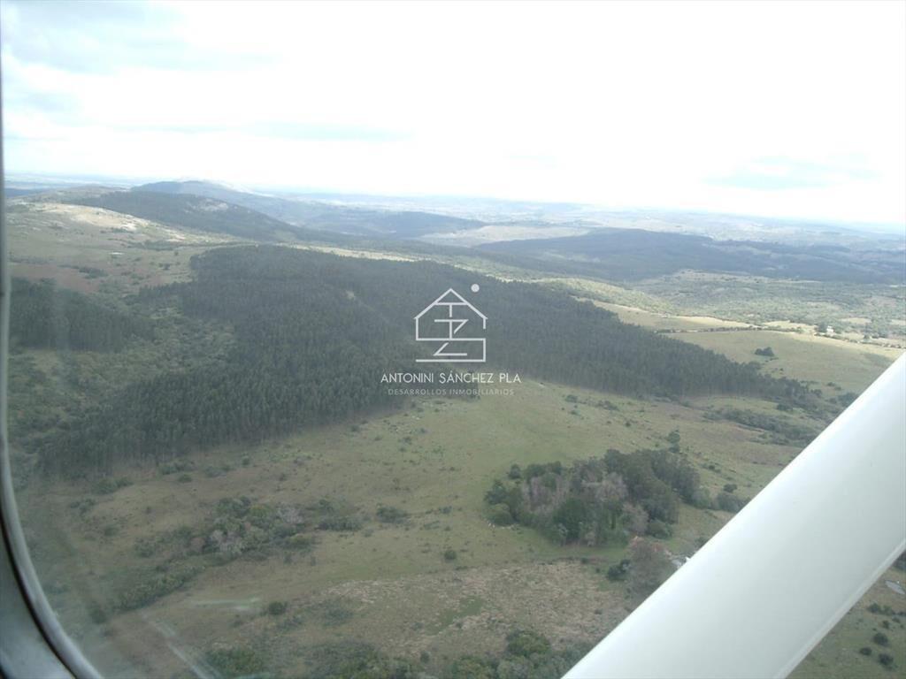 Venta Campo Ganadero Forestal Rocha