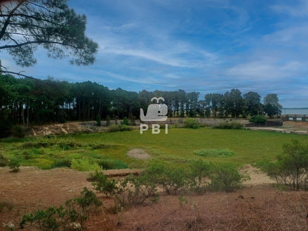 Terreno en venta en Club del Lago, Punta Ballena.