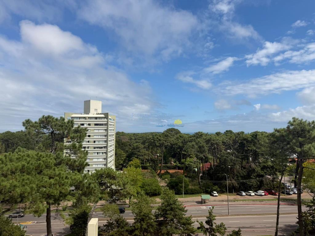 Apartamento en alquiler de 1 dormitorio en Punta