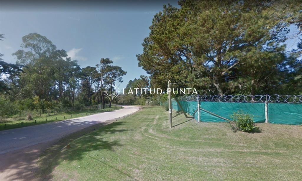 Terreno de gran superficie en zona habitada todo