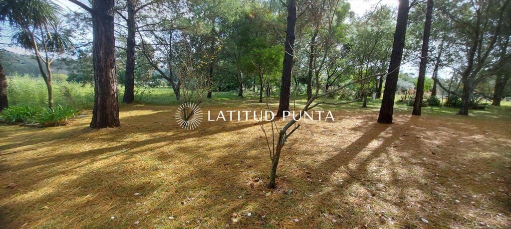 Excelente chacra zona Lapataia. Punta Ballena